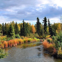 Пазл: Речка