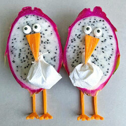 Пазл: Птицы из питайя