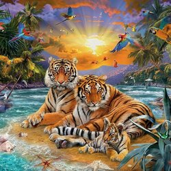 Пазл: Тигры