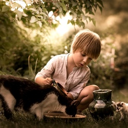 Пазл: Забота