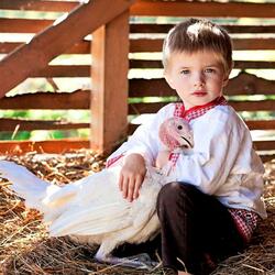 Пазл: Друзья