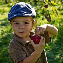 Пазл: В саду