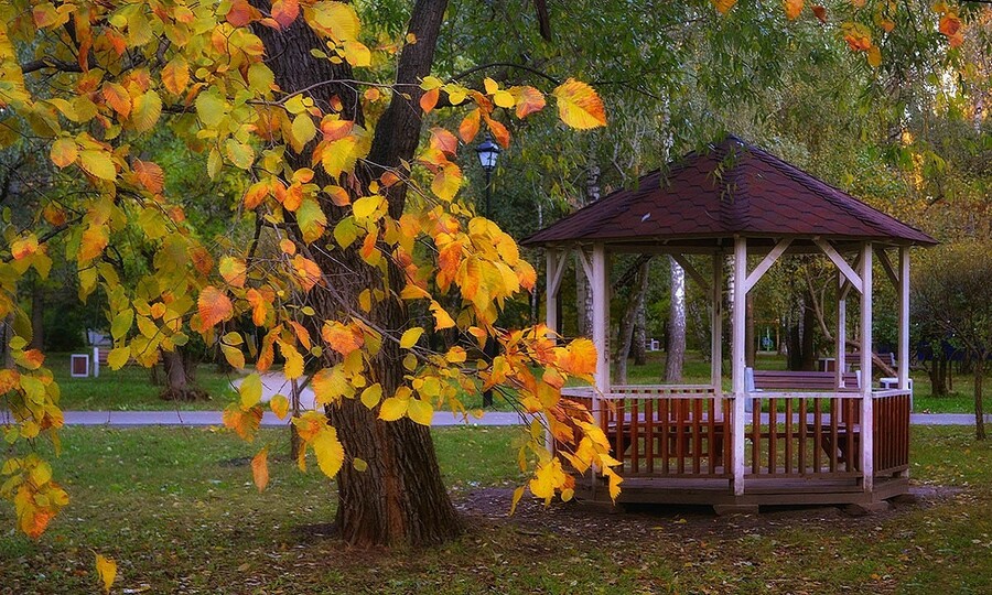 Осенняя Беседка Фото