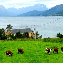 Пазл: Русская деревня