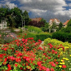 Пазл: Летний дождь