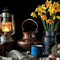 Пазл: Деревенский натюрморт с нарциссами