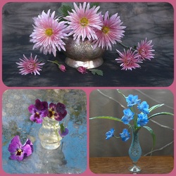 Пазл: Изящество