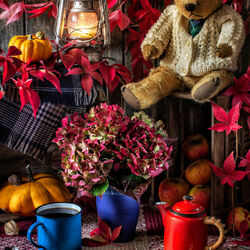 Пазл: Когда начинают падать листья...