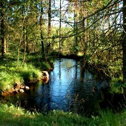 Пазл: Лесная речка
