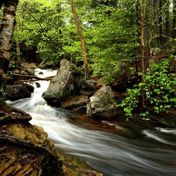 Пазл: Лесная речка