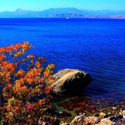 Пазл: Морской пейзаж