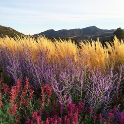 Пазл: Оттенки осени