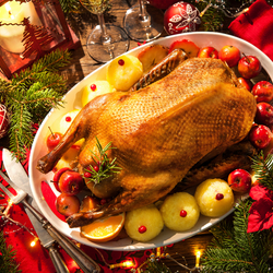 Пазл: Рождественский гусь