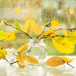 Пазл: Осенний дождь