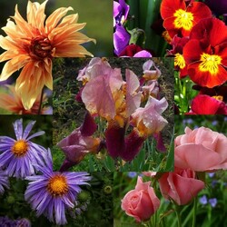 Пазл: В саду