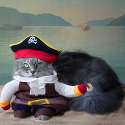 Пазл: Морские приключения Масяни