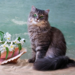 Пазл: Масяня на отдыхе