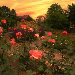 Пазл: Вечереет