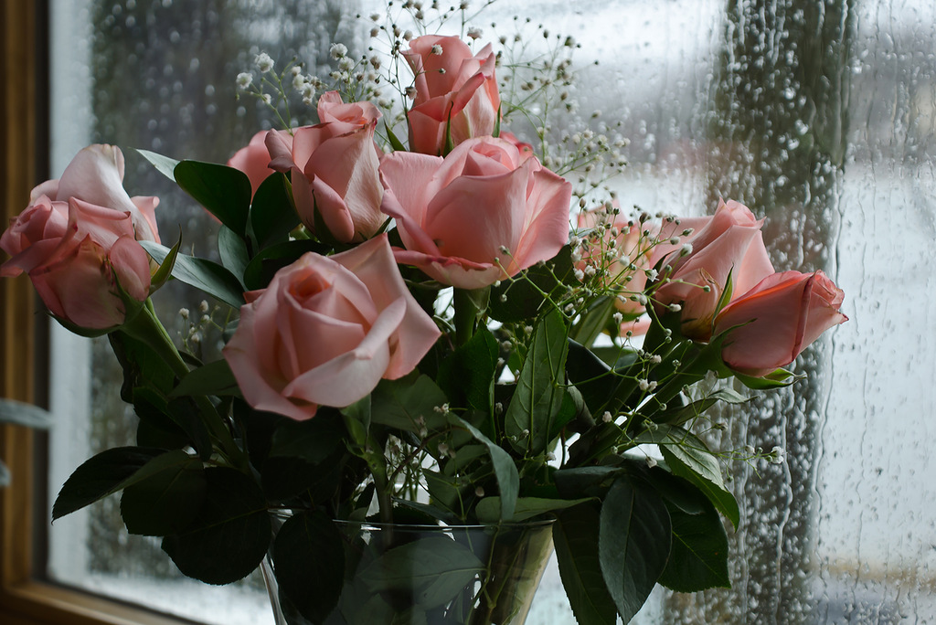 Букет роз на окне реальное фото