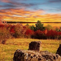 Пазл: У озера