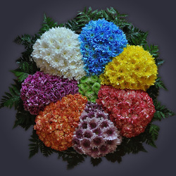 Пазл: Семицветик