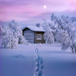 Пазл: Дорожка к дому