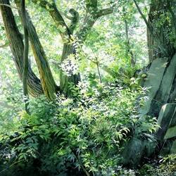 Пазл: Лесной пейзаж