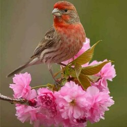 Пазл: Весенний  мотивчик