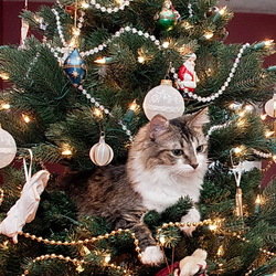 Пазл: Главное украшение ёлки