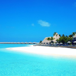 Пазл: Отдых в тропиках