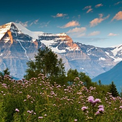 Пазл: Лето в горах