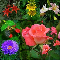 Пазл: Воспоминания о лете