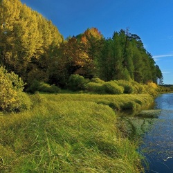 Пазл: Берег реки