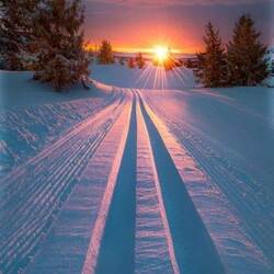 Пазл: Заснеженная трасса