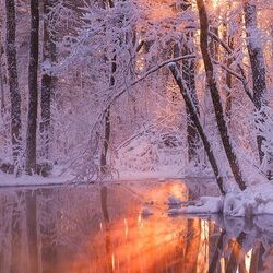 Пазл: У реки