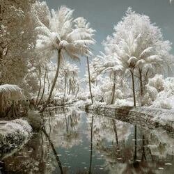 Пазл: Неожиданный снег