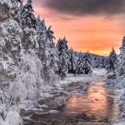 Пазл: Зимняя речка