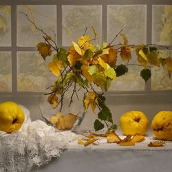 Пазл: Горьковатая дымка забвенья