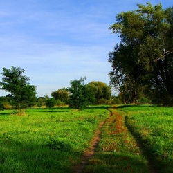 Пазл: Летний день