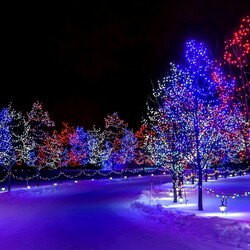 Пазл: В ночь под Новый год