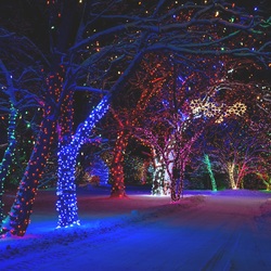 Пазл: В праздничном  скверике