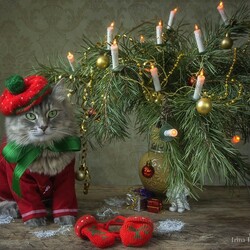 Пазл: Масяня встречает Новый Год