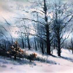 Пазл: Снежный лес