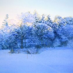 Пазл: Снег кругом