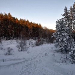 Пазл: Зимний день