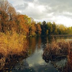 Пазл: Осень на озере