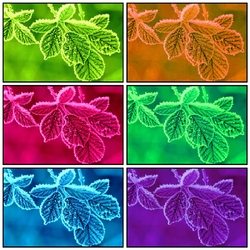 Пазл: Иней на листьях