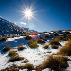 Пазл: Яркое солнце