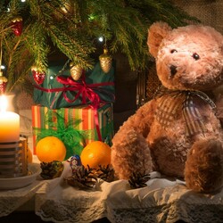 Пазл: Фотонатюрморт зимний