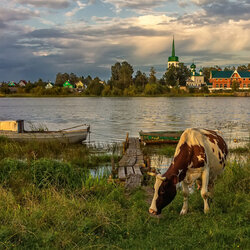 Пазл: Лето в деревне